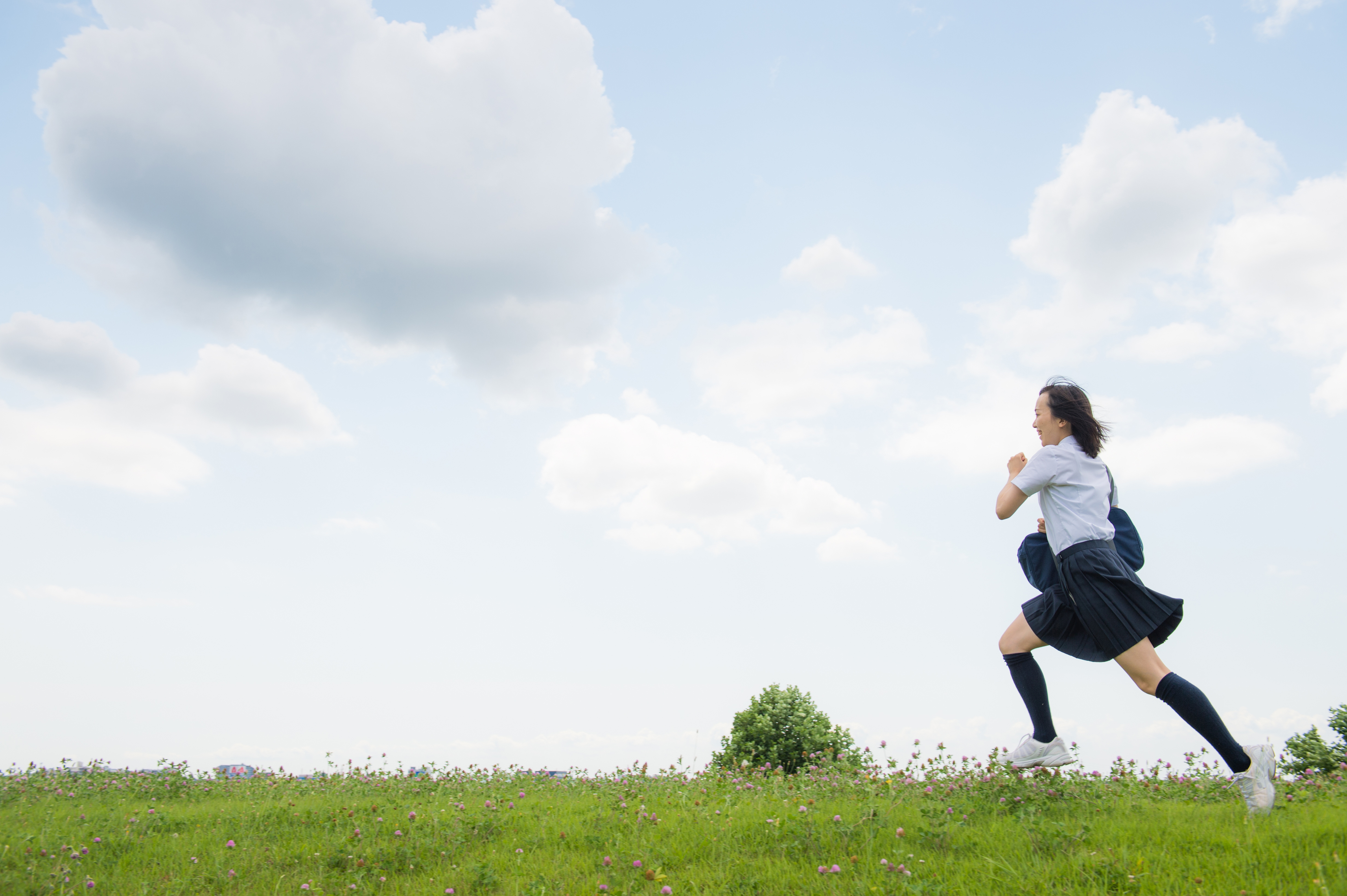 描いた夢を未来に繋ぐ オープンキャンパス 2024